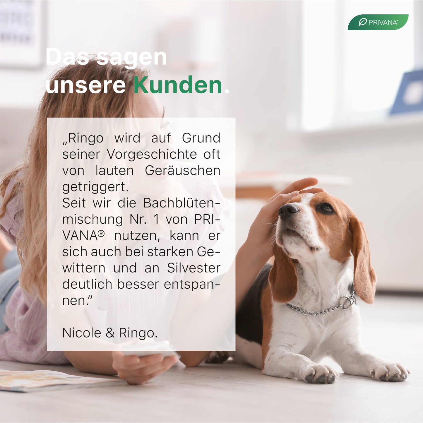 Bachblüten-Globuli für Hunde - Stress & Notfall (Nr. 1)