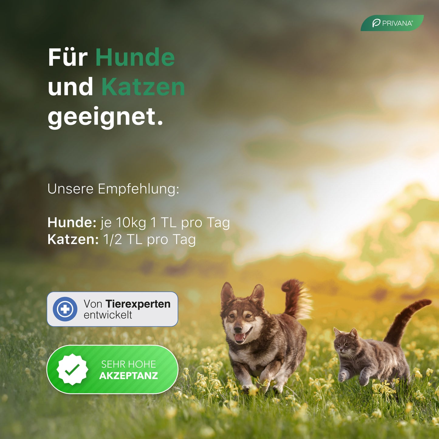 Reines Hagebutten-Pulver für Hunde & Katzen (300g)