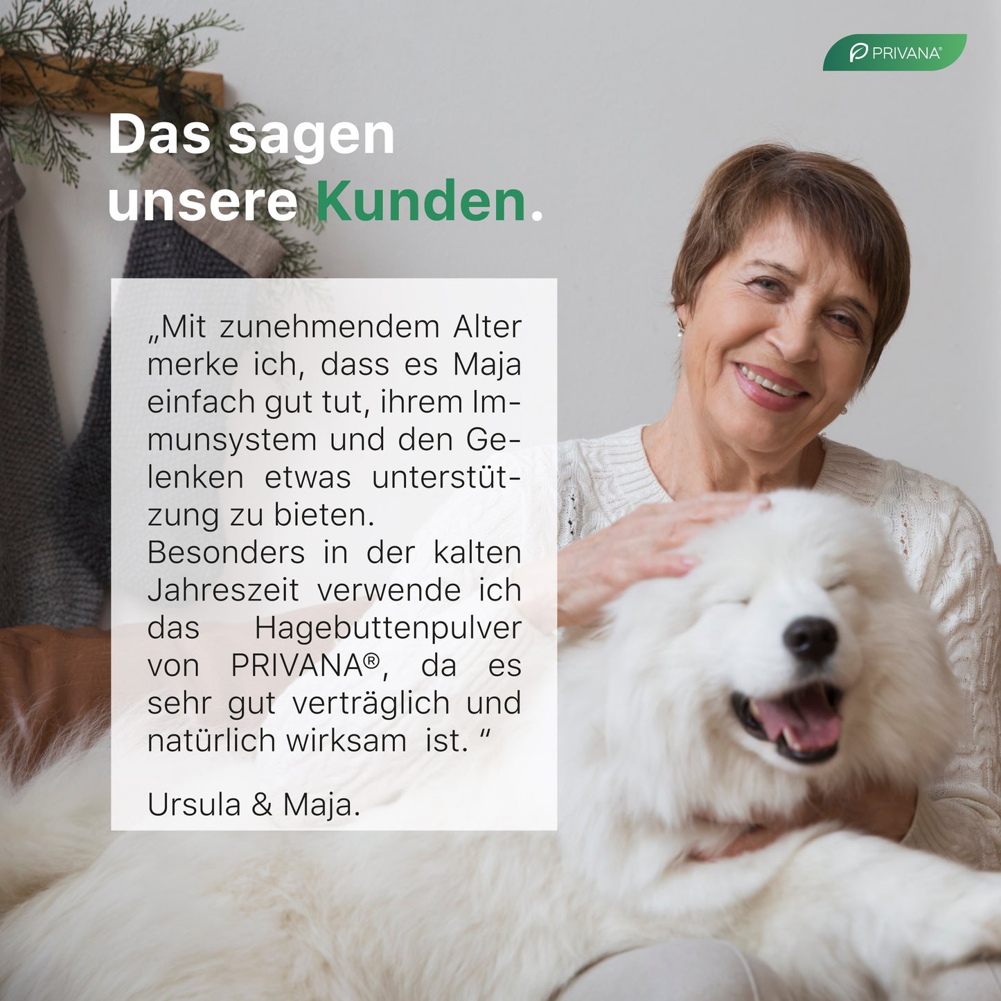 Reines Hagebutten-Pulver für Hunde & Katzen (300g)