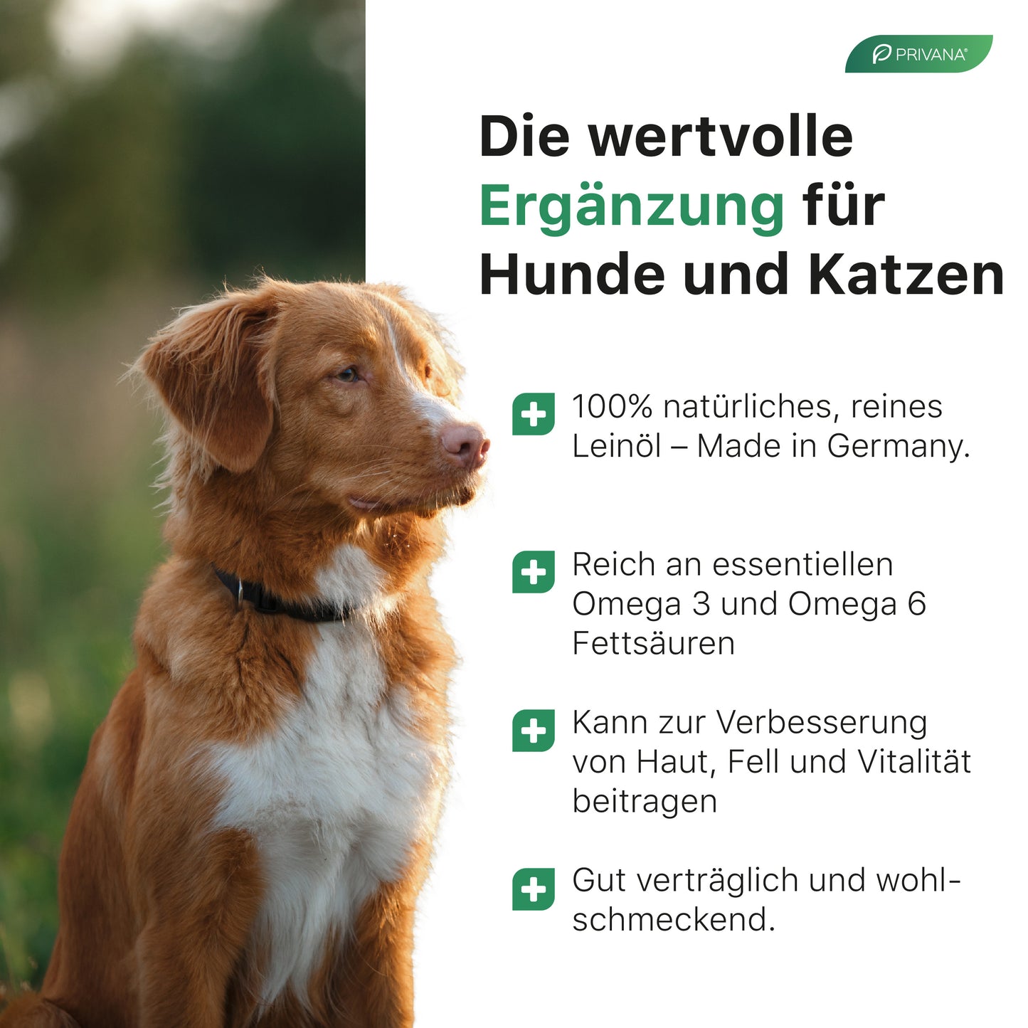 100% Reines Leinöl für Hunde & Katzen (500ml)