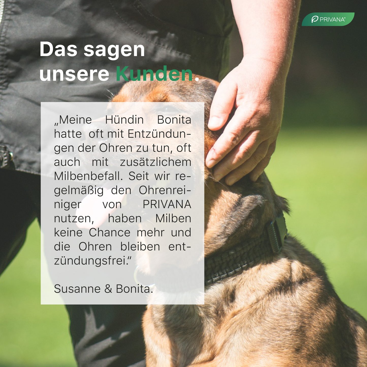 Sanfter Ohrenreiniger 3-in-1 für Hunde & Katzen (100ml)