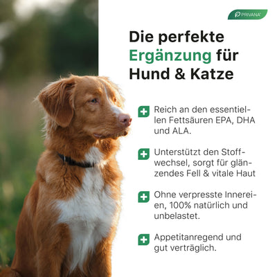 100% Reines Omega-3-Lachsöl für Hunde & Katzen (1000ml)