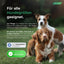 Pfotenwunder - 2-in-1 Pfotenbalsam, natürlich & sanft für Hunde (100ml)