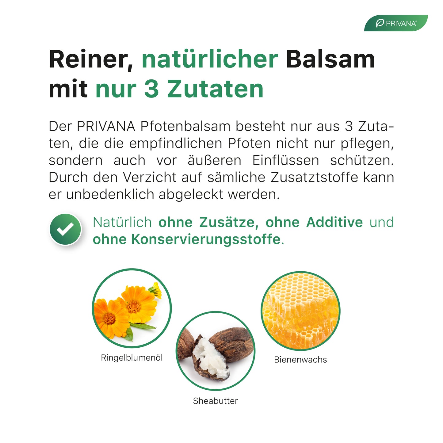 Pfotenwunder - 2-in-1 Pfotenbalsam, natürlich & sanft für Hunde (100ml)