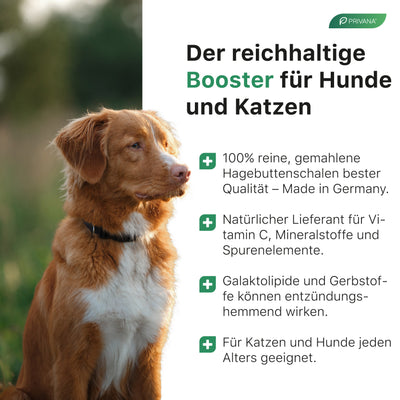 Reines Hagebutten-Pulver für Hunde & Katzen (300g)