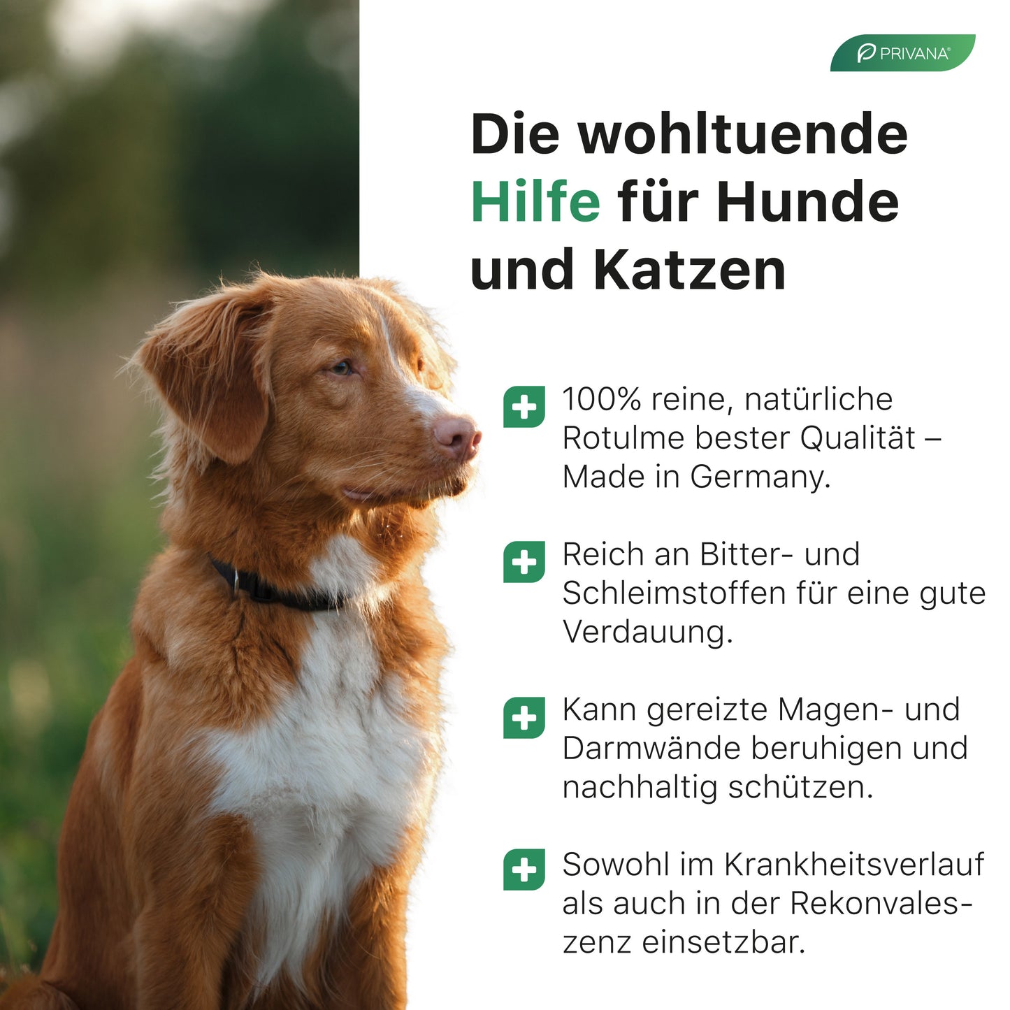 Reine Ulmenrinde für Hunde & Katzen (100g)