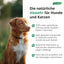 Wieder verfügbar ab Mitte Mai / Reines Zistrosenkraut-Pulver (Cistus incanus) für Hunde & Katzen (250g)