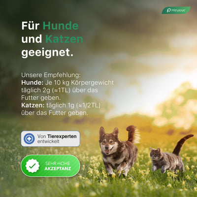 Reines Zistrosenkraut-Pulver (Cistus incanus) für Hunde & Katzen (250g)